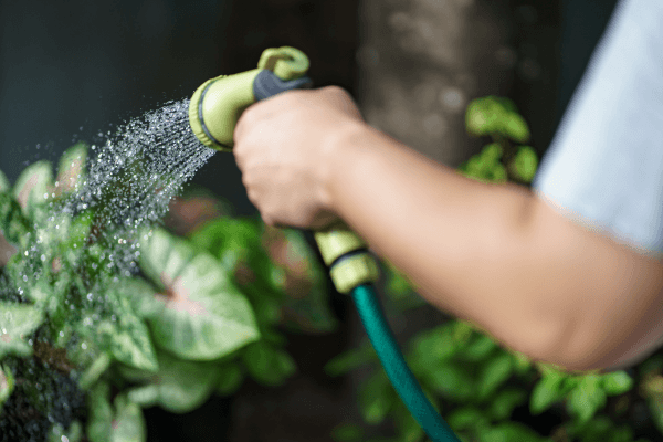Como a Reutilização de Água Pode Ajudar na Manutenção de Jardins Verticais em Casa