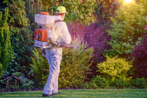 Pragas Em Jardins Urbanos Como Identificar E Eliminar Naturalmente
