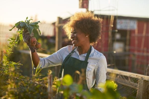 Passo A Passo Para Cultivar: Transforme Sua Varanda Em Um Jardim Produtivo