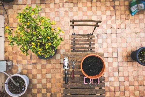 Adubação Simples Para Plantas em Apartamentos: Passo a Passo